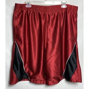 Nordictrack Men’s Basketball Shorts Lined Size L